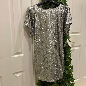 Silver Sequin Dress